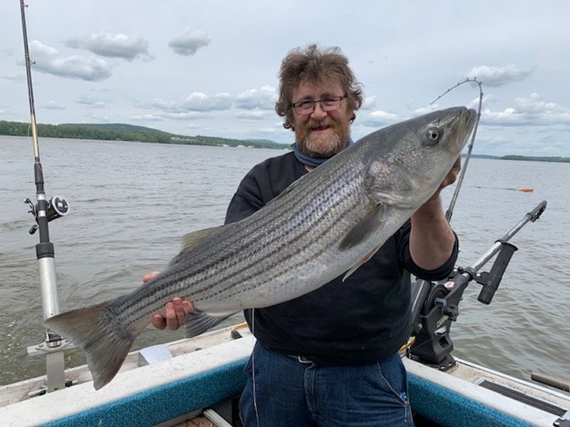 Hudson River Fishing Charter